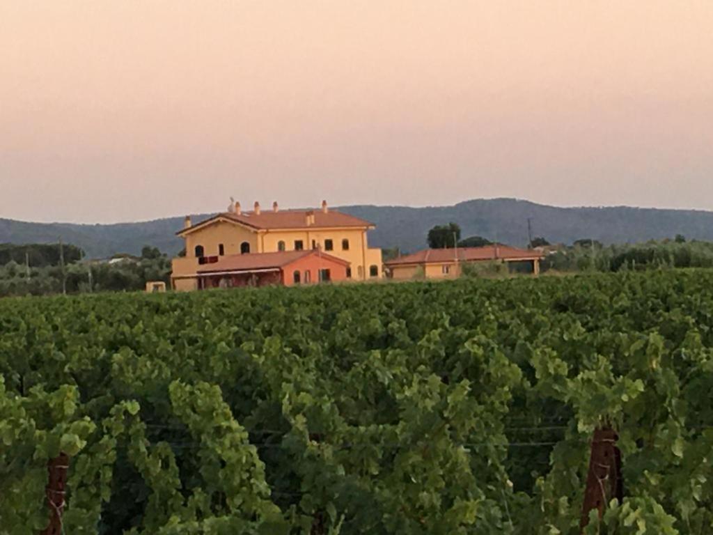 Apartament Domus Tuscany